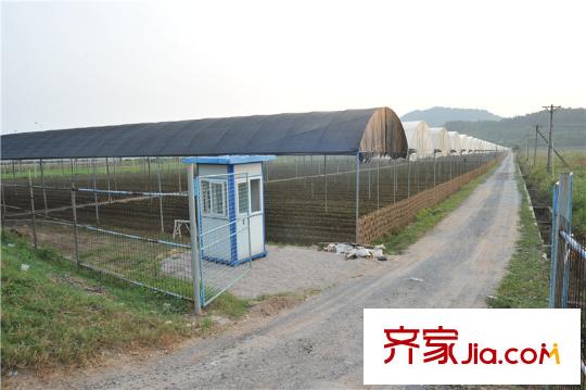 中信山语湖楼盘配套生态农庄