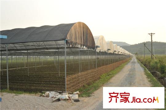 中信山语湖楼盘配套生态农庄