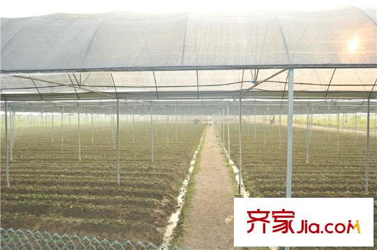 中信山语湖楼盘配套生态农庄