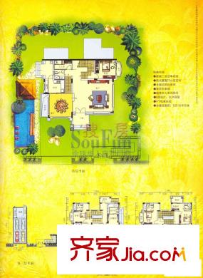 佛奥棕榈园户型图D1型半山别墅 8室2厅7卫1厨