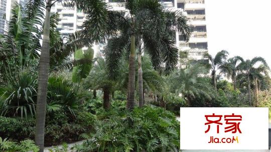 君悦龙庭外景图