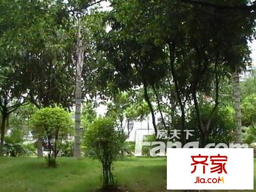 鹏达花园外景图