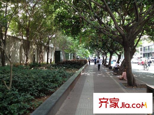 阳光里配套图东向散步道