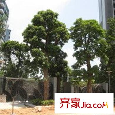 兰溪谷二期配套图小区相关图_6