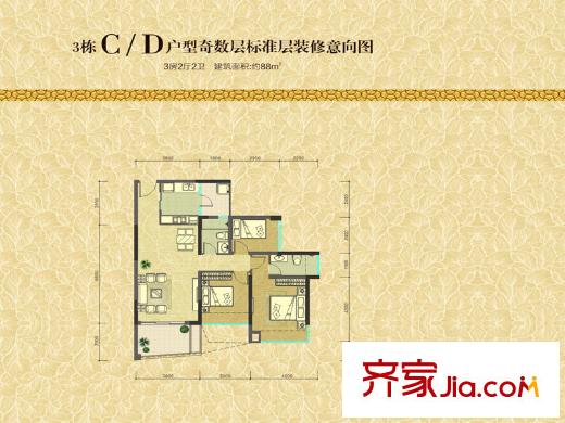 阅山华府户型图3栋C、D户型奇数层 3室2厅2卫