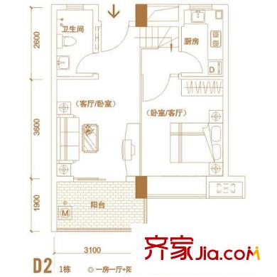 金众蓝钻风景户型图D2户型 1室1厅1卫