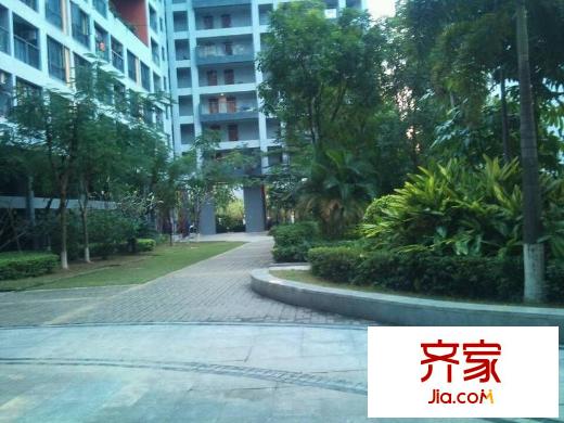 金众蓝钻风景外景图