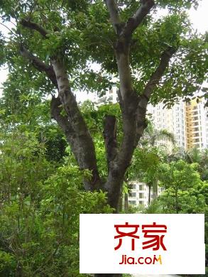 波托菲诺天鹅堡外景图