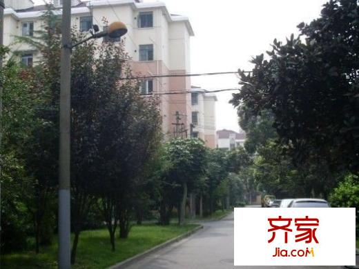 报春四村外景图
