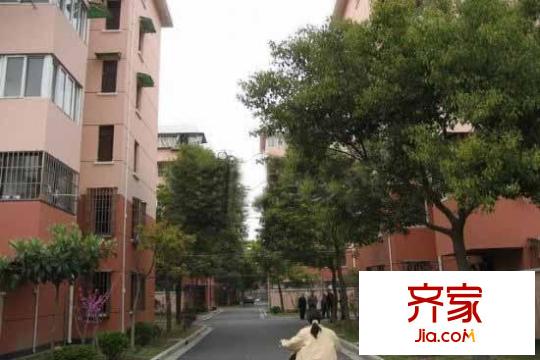 报春四村外景图