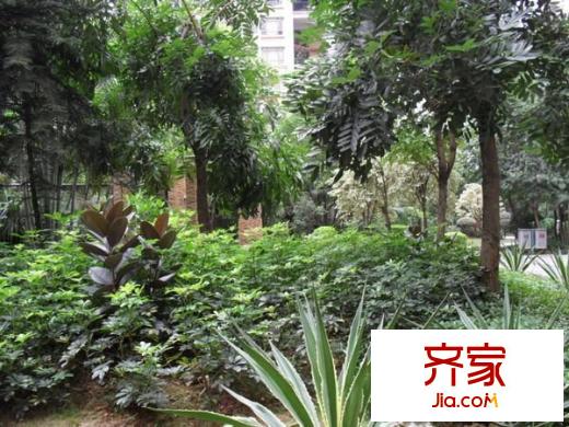 桂芳园五期外景图