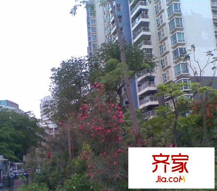 宝能太古城南区外景图