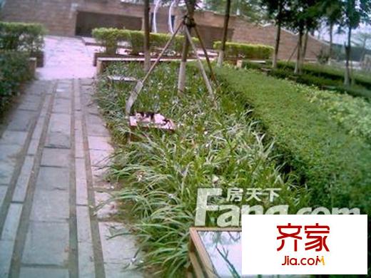 星海名城五期外景图