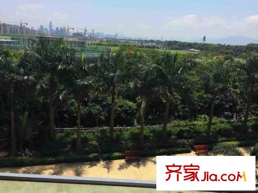 红树西岸配套图 周边配套