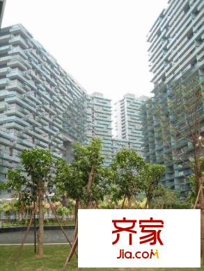 红树西岸外景图