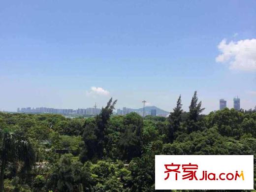 红树西岸配套图 周边配套