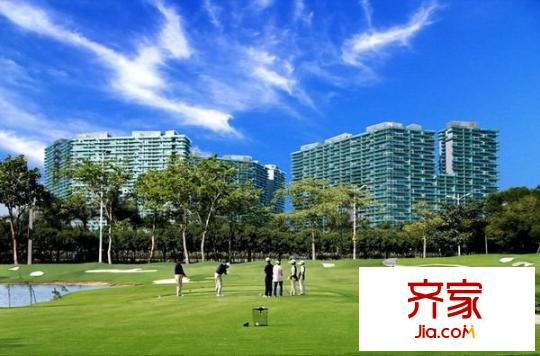 红树西岸外景图