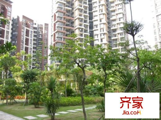 阳光玫瑰园外景图
