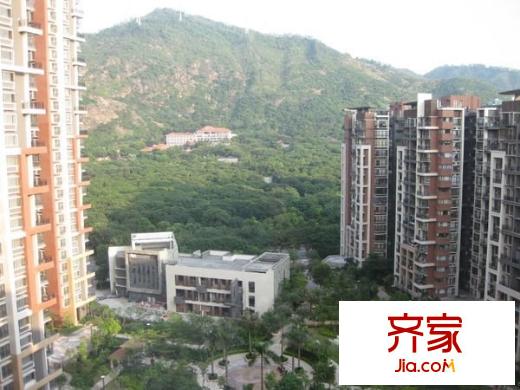 阳光玫瑰园外景图