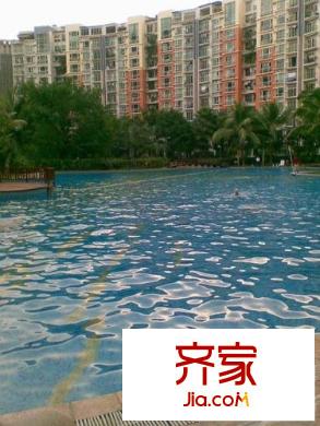 阳光棕榈园外景图中海一期