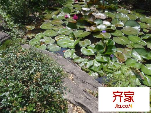 中海怡翠山庄外景图