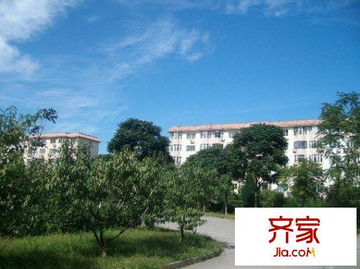 王府温馨公寓外景图