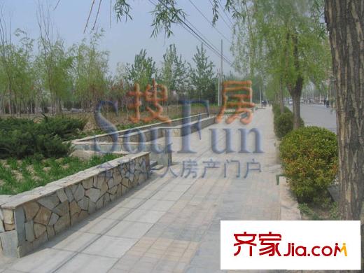 顶秀青溪配套图西侧绿化带