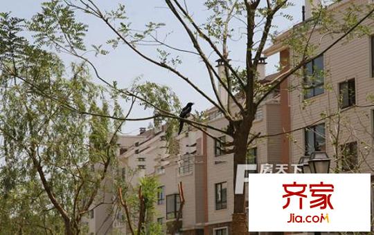 顶秀青溪外景图