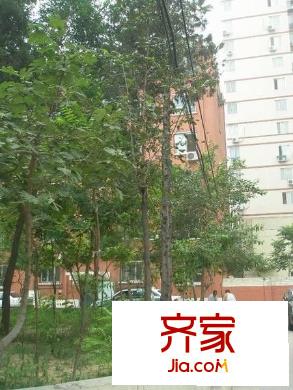 南沙滩小区外景图