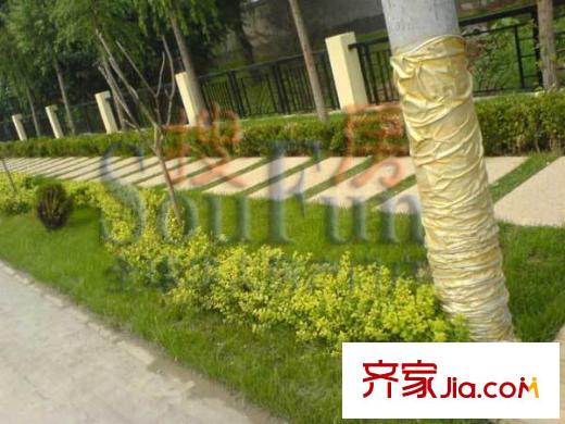 珠江御景配套图周边实景