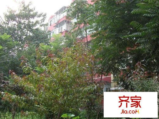 新华街六里外景图
