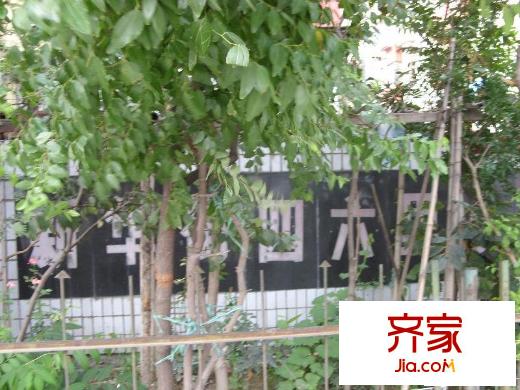 新华街六里外景图