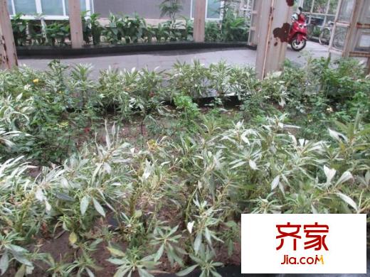 亮马水晶外景图