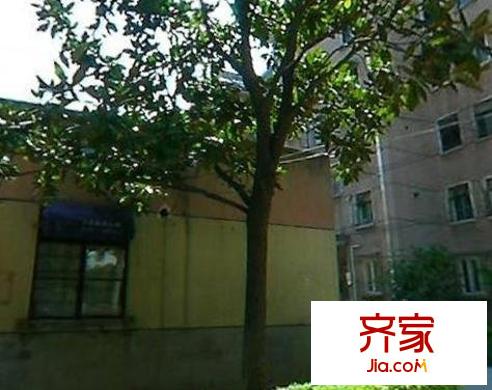 红旗花苑外景图上海