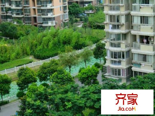 杉林新月家园外景图