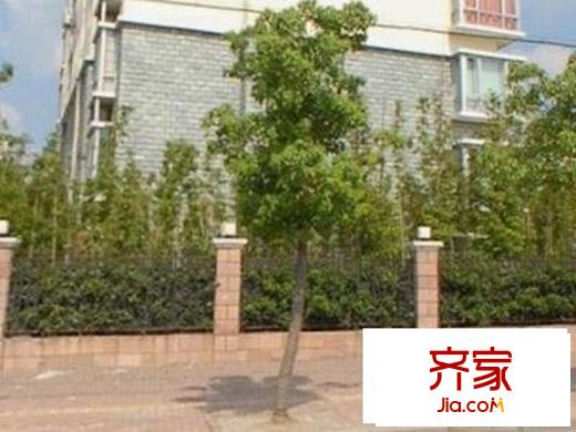 和风润玉外景图