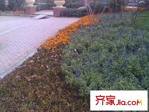 珠光御景配套图周边配套-小区风景