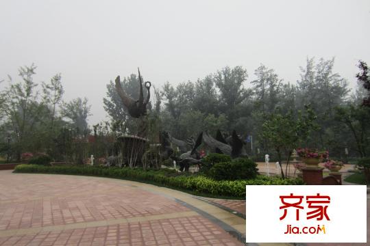 珠光御景实景图小区2012.6