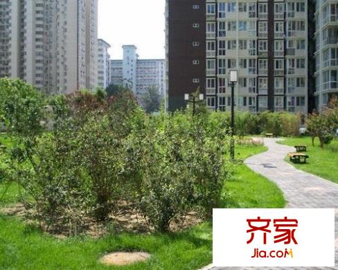城市出品外景图花园