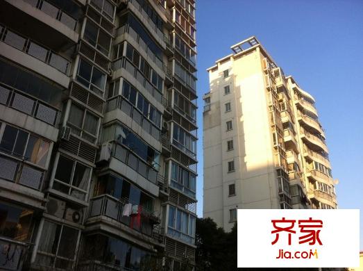 九歌茗园外景图