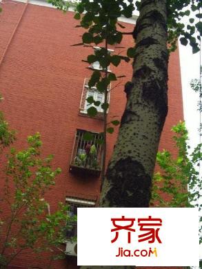 定安里外景图永安里楼房
