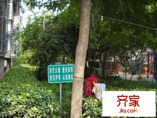 三义庙小区外景图小区绿化