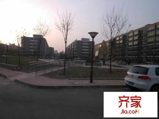 观景园外景图