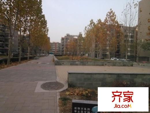 观景园外景图