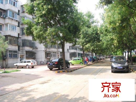 乔庄西区外景图街道