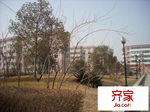 武夷花园水仙园外景图