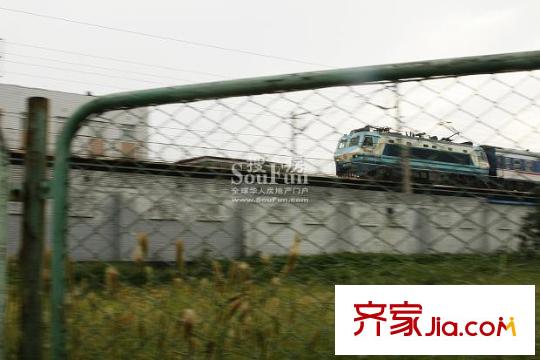 大成郡配套图周边实景-绿化