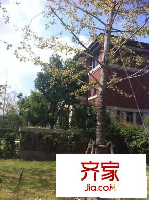 中海御景熙岸外景图