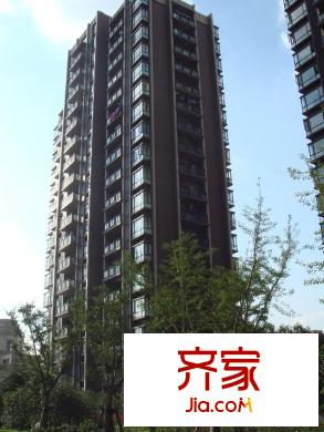 地杰国际城外景图