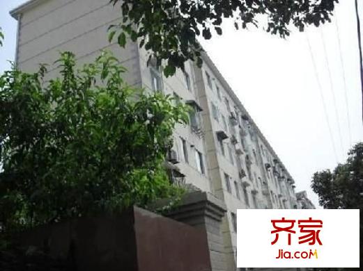 金杨九街坊外景图